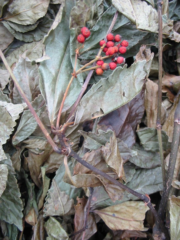 �[��(ji��)�L(f��ng)