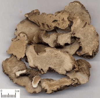 ���~һ֦��