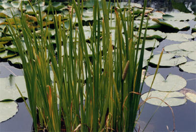 �|������